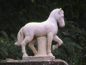 Photo n°29 de la pause à Les Ilhes (Chambre d'hôtes)