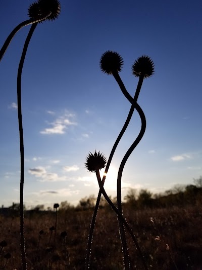 Prairie Park Fishery Trail/Sac and Fox Trail Fork