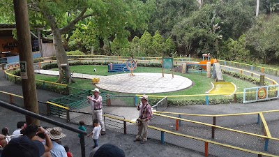 Photos of Bambusa Plaza