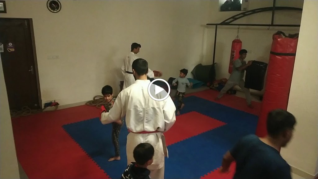 Vedic Vibrations Martial Arts Fitness Girls Self Defense Gymnastics Karate Class