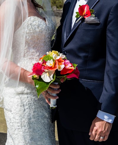Photos of Dreamy Weddings & Tours Inc.