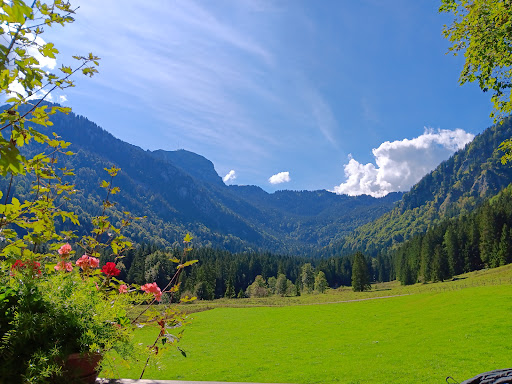 Wirtsalm - Visual