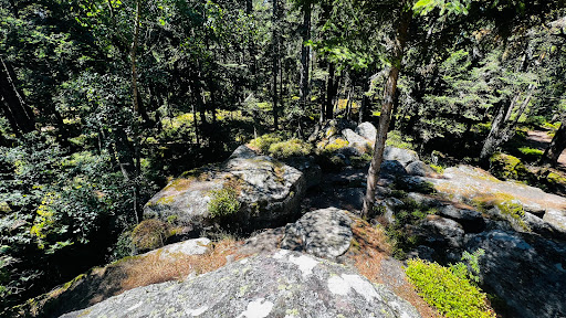 Rocher du Koenigsstuhl - Thumbnail