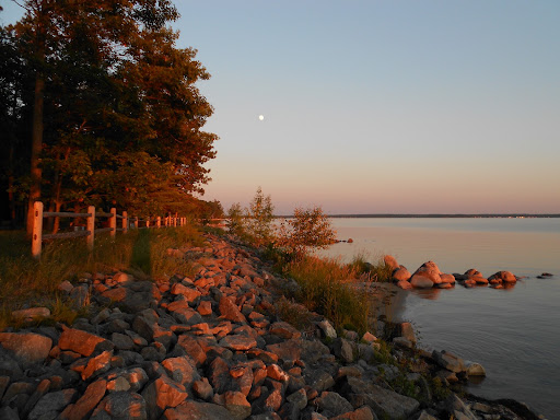 Black Lake State Forest Campground - Thumbnail