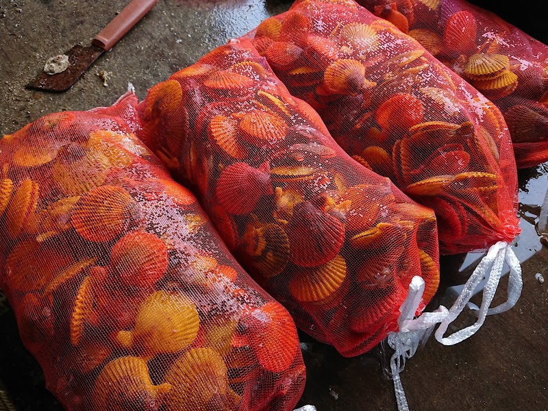 由良のアワビ屋(アワビ・ヒオウギ貝等の販売）