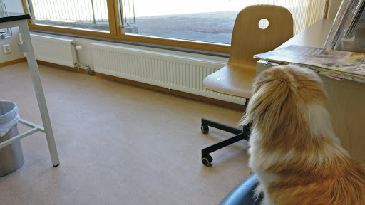 Sannegårdens Djurklinik AB - Thumbnail