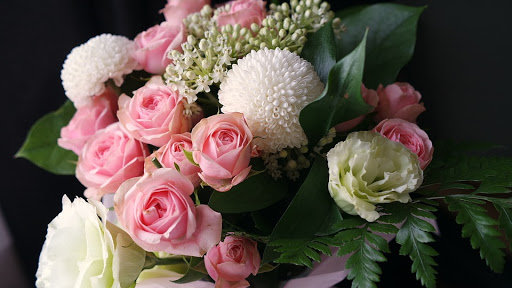 Studio Flowers - Visual