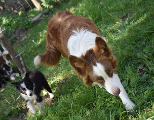 Photo n°1 de Domaine du grand colonge à Broye-les-Loups-et-Verfontaine (Ferme d'élevage)