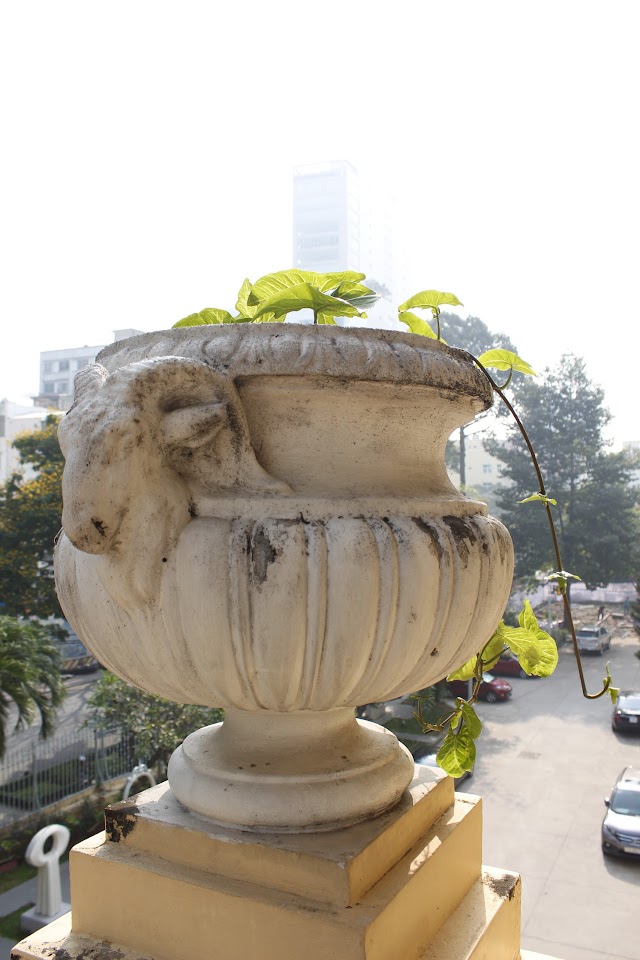 Musée des beaux-arts de Saigon