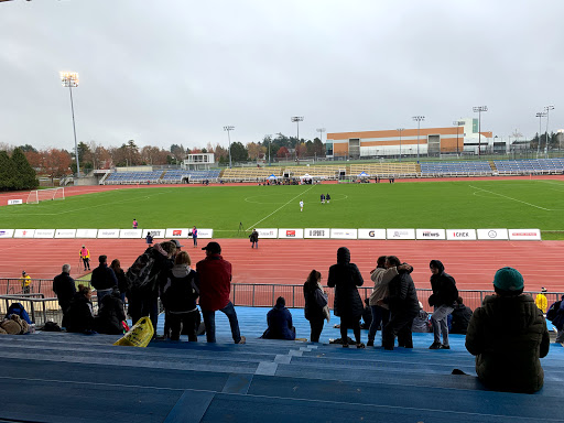 Centennial Stadium - Visual