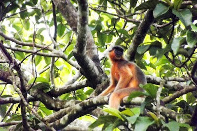Photos of Hazarikhil Wildlife Sanctuary