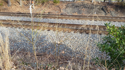North Ashland Railside Park and Trail - Thumbnail