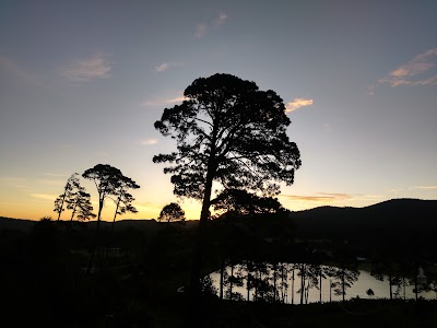 Presa De Rancho El Guajolote