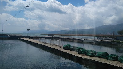 Photos of Cafe Bar Plivalishte