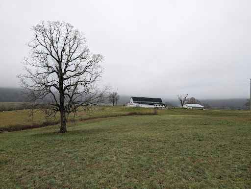 Mountain Cove Farms Resort - Thumbnail