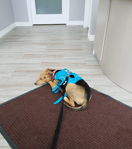 Findlay Creek Animal Hospital - Thumbnail