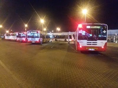 Photos of Gold Souq Bus Station 7