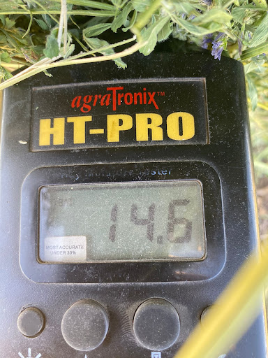Rancho San Martin Alfalfa & Sudan - Thumbnail