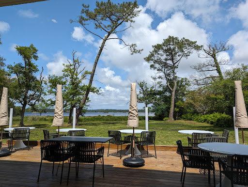 Photo de Les échasses à Saubion (40230)