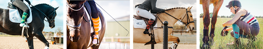 Coolhorsesocks - Visual