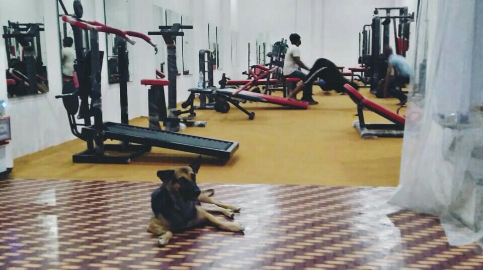 Om Royal Gym