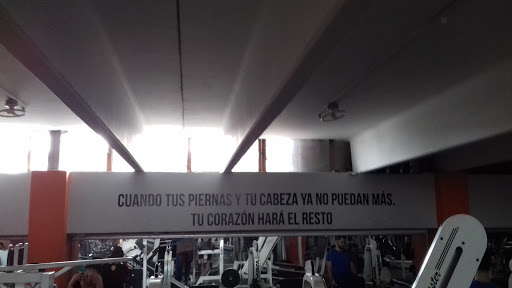 Lukas Gym - Thumbnail