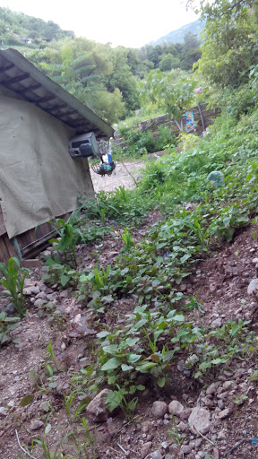 Rancho Benitez