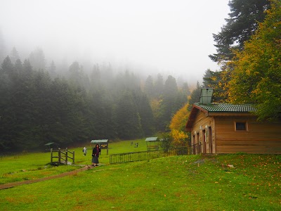 Abant Lake