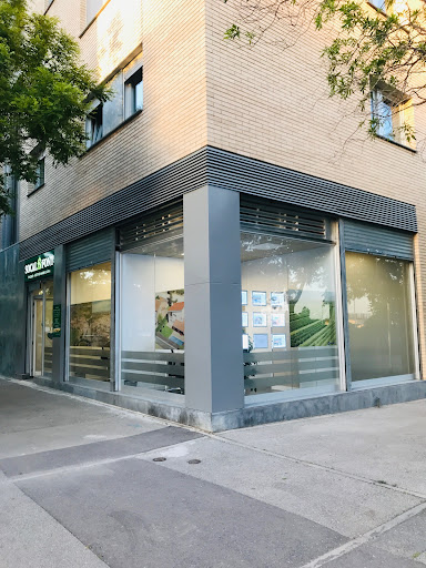 Judit Font Immobiliaria