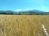 Mare Terra à Fuilla