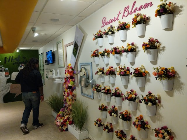 Aruba Aloe Factory Museum and Store