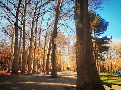 Photos of Park Mahdasht