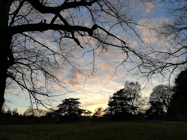 Comentarii opinii despre University Parks