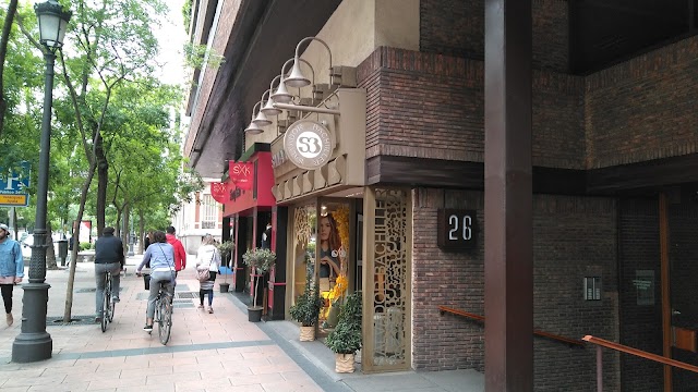 Salvador Bachiller - Ortega y Gasset