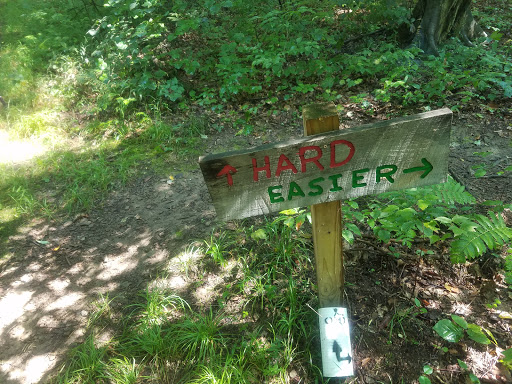 Camp Tuscazoar Foundation Inc - Thumbnail