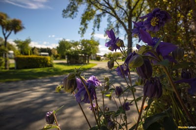 Photos of Timaru Top 10 Holiday Park