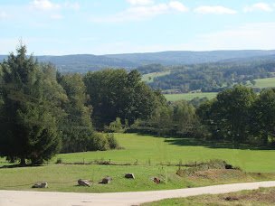 Photo n°11 de Clos Malpré grand chalet/gîte de groupes - salles séminaires d'entreprises et mariages Vosges à Senones (Terrain de volley-ball)