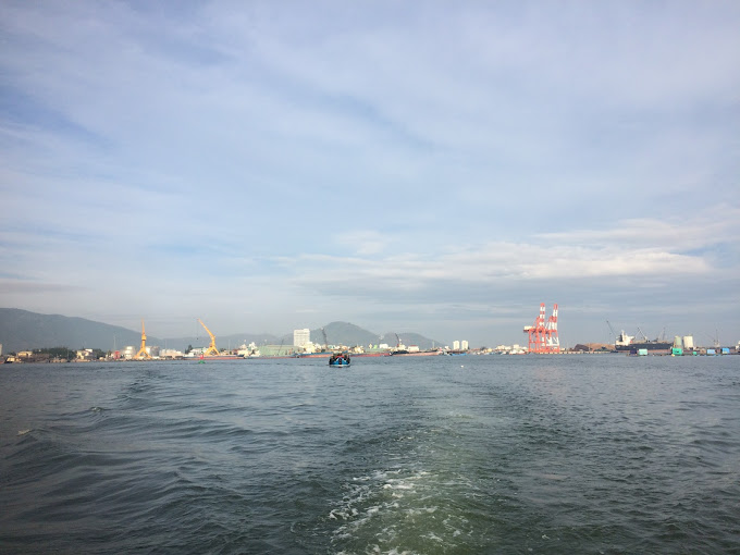 Cảng Quy Nhơn, Bình Định