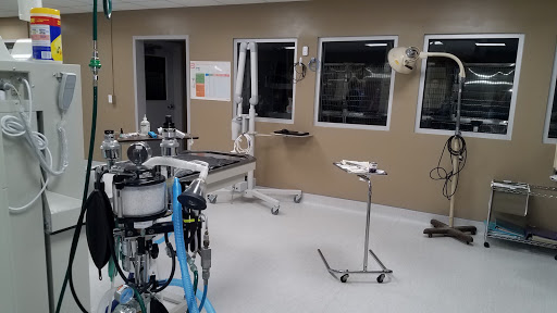 Watertown Animal Hospital, L.L.P. - Thumbnail