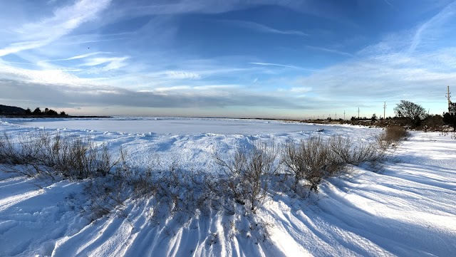 Sandy Hook Beach