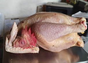 Photo n°12 de Ferme de l'ombrail à Meursac (Élevage de volailles)