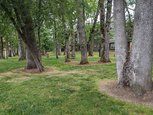 Oak Park - Visual