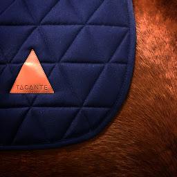 Photo n°4 de Tacante à Provins (Magasin de matériel d'équitation)