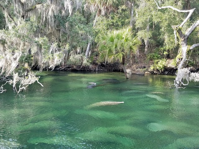 Blue Spring State Park