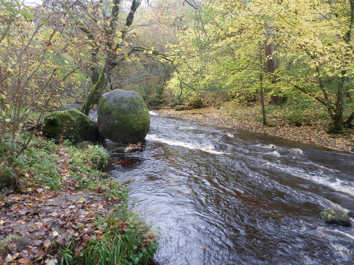 Deepdale Nature Reserve