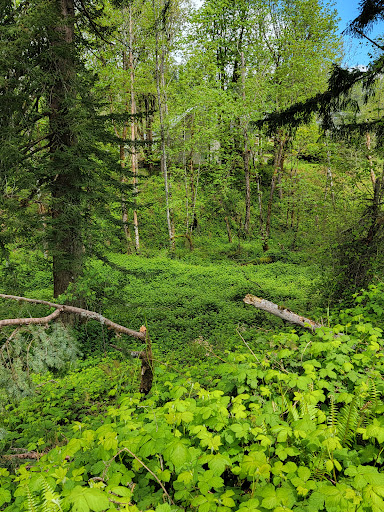Campen Creek Park - Thumbnail