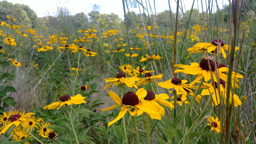 Columbia Audubon Nature Sanctuary - Thumbnail
