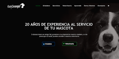 veterinary-care