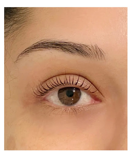 WillaWinks Eyelash Extensions, Lash Lifts, & Lash Training LLC Logo