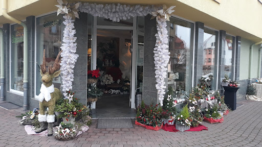 Goos Sylvio Blumenparadies - Visual